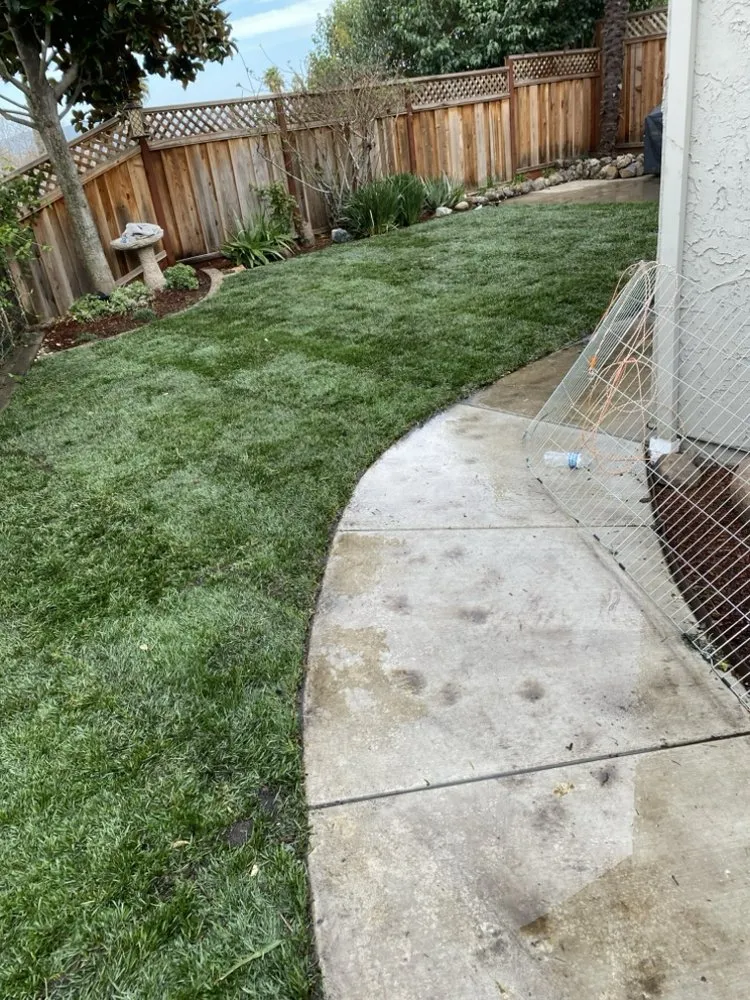 Professional outdoor landscaping experts serving North Richmond, CA - Trujillo Landscaping