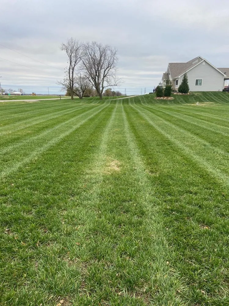 Expert landscape installation in Phoenix, AZ by Trujillo Landscaping