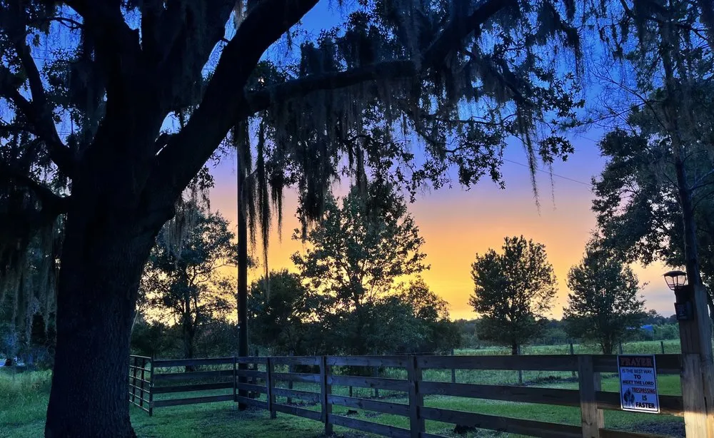 Trusted lawn mowing service in Winter Haven, FL by Trujillo Lawn Company