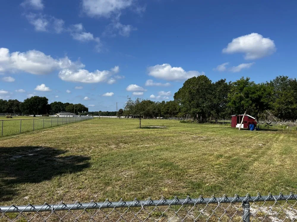 Professional yard cleanup service for outdoor upgrades in Winter Haven, FL by Trujillo Lawn Company