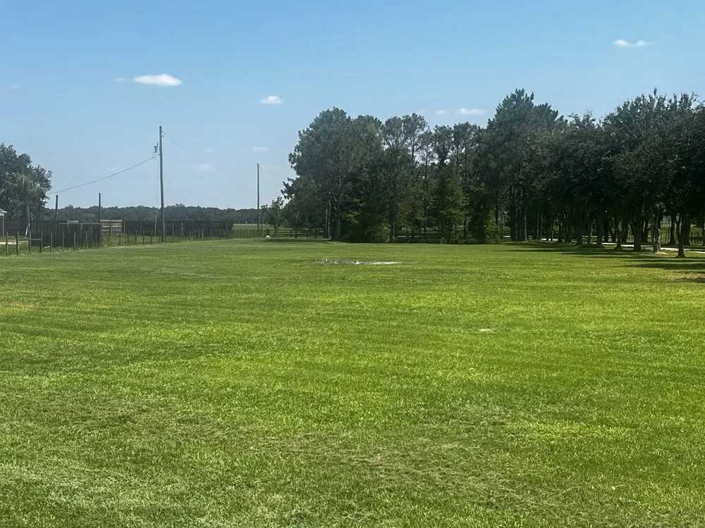 Affordable landscape installation near you across Winter Haven, FL - Trujillo Lawn Company