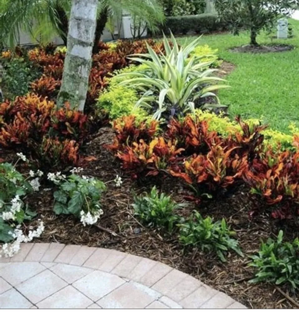 Affordable lawn care service in White Plains, MD by Trujillos Lawn Care