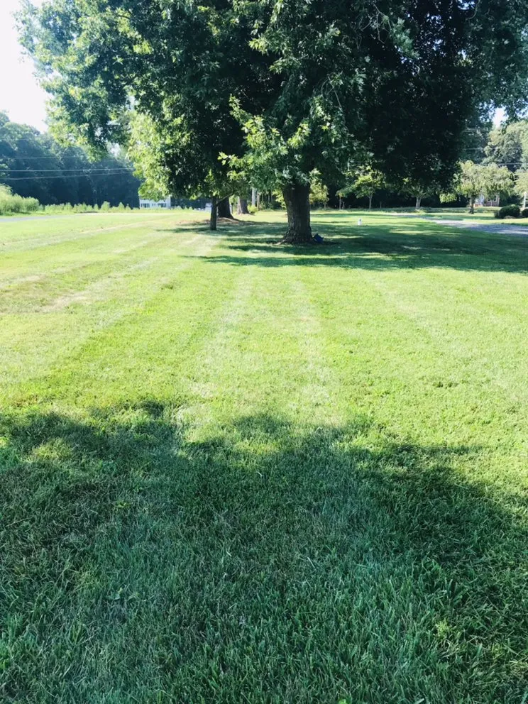 Reliable residential landscaping for residential properties in White Plains, MD by Trujillos Lawn Care