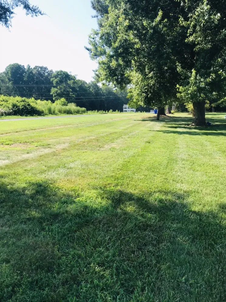 Expert lawn mowing service for residential properties in White Plains, MD by Trujillos Lawn Care