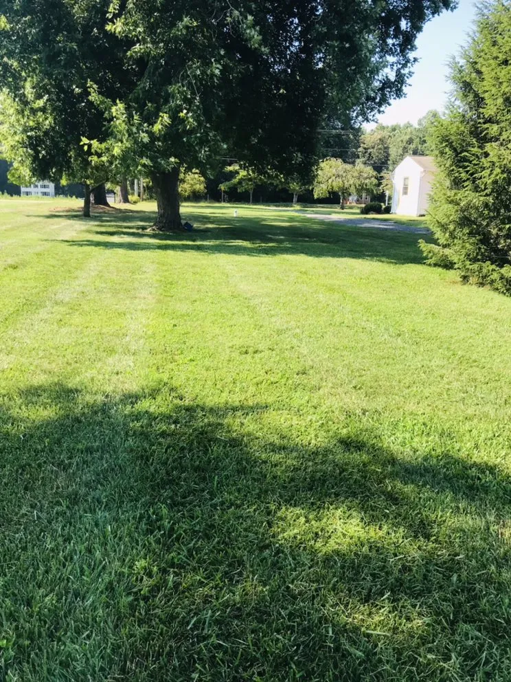 Expert lawn care service in White Plains, MD by Trujillos Lawn Care