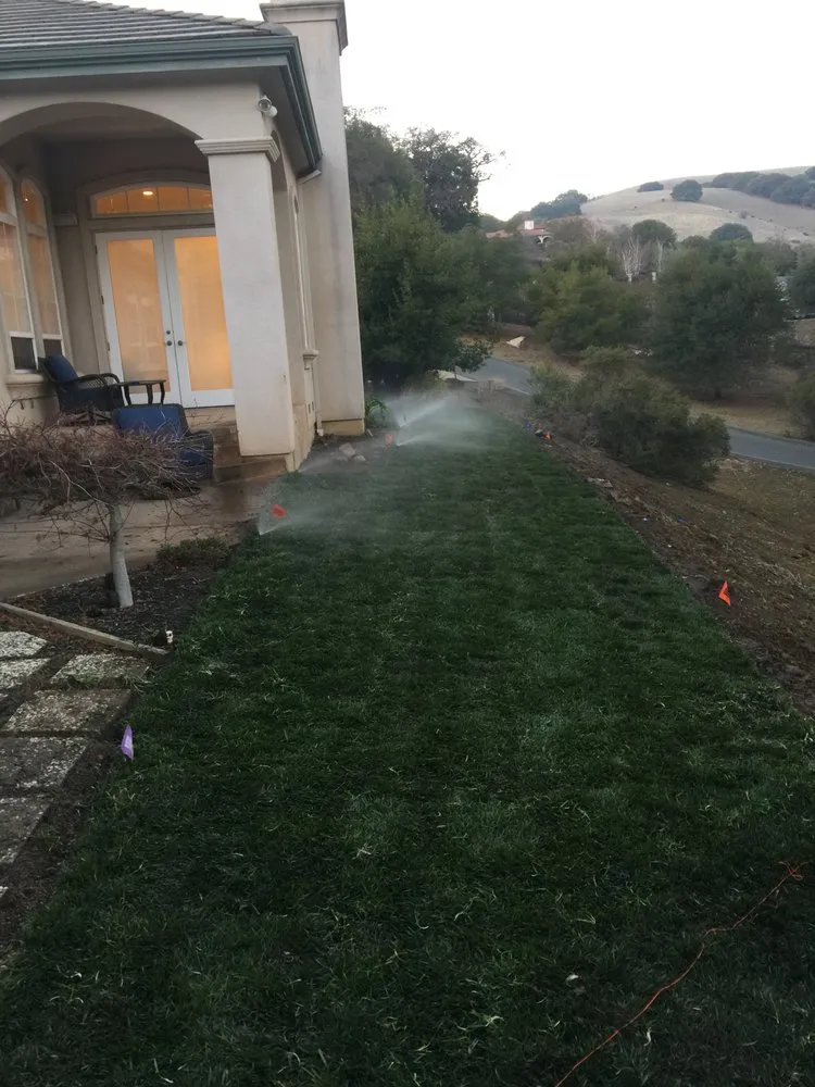 Affordable landscaping services for homes in Richmond, CA by Trujillo’s roofing