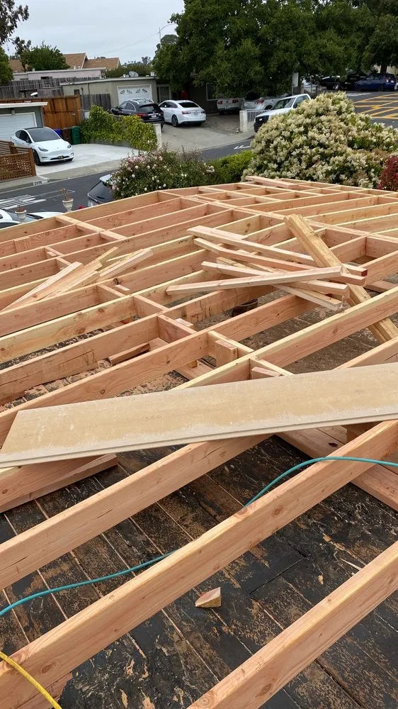 Affordable yard cleanup service experts serving Richmond, CA - Trujillo’s roofing