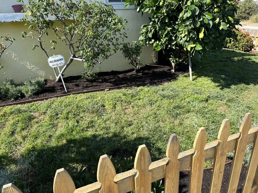 Professional landscape installation for outdoor upgrades in San Mateo, CA by Trujillo’s Services