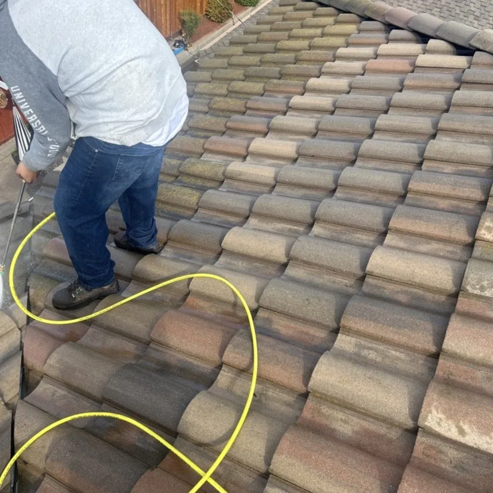 Trusted residential landscaping for year-round maintenance in San Mateo, CA by Trujillo’s Services