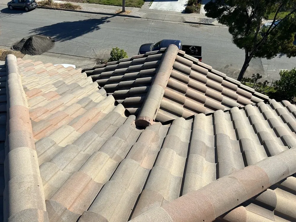 Affordable lawn mowing service in San Mateo, CA by Trujillo’s Services