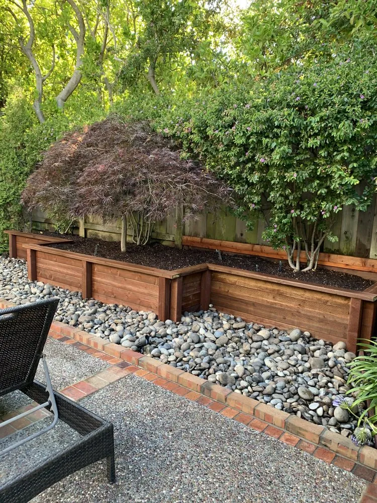 Reliable landscaping services in San Mateo, CA by Trujillo’s Services