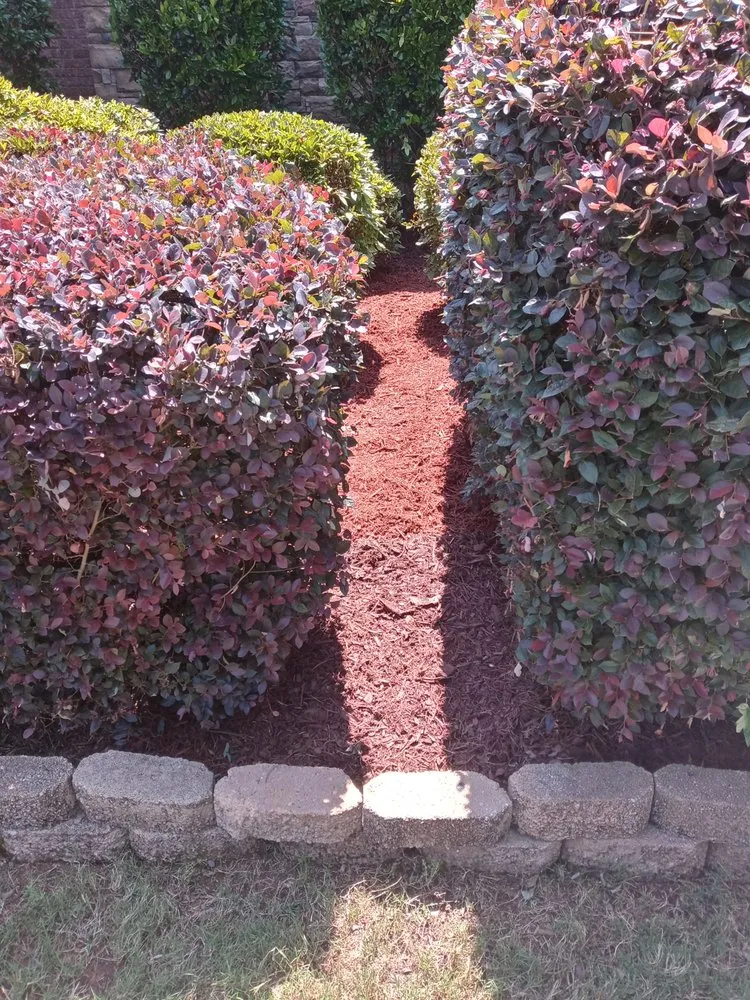 Trusted yard maintenance for beautiful yards in Social Circle, GA by Truking Season Lawn Care Service