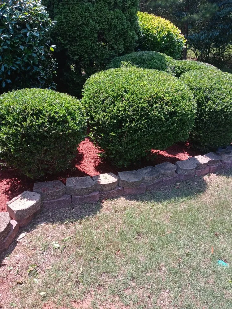 Top-rated lawn mowing service for year-round maintenance in Social Circle, GA by Truking Season Lawn Care Service