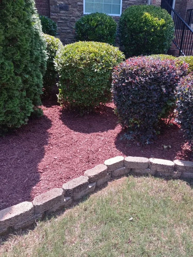 Expert landscaping services in Social Circle, GA by Truking Season Lawn Care Service