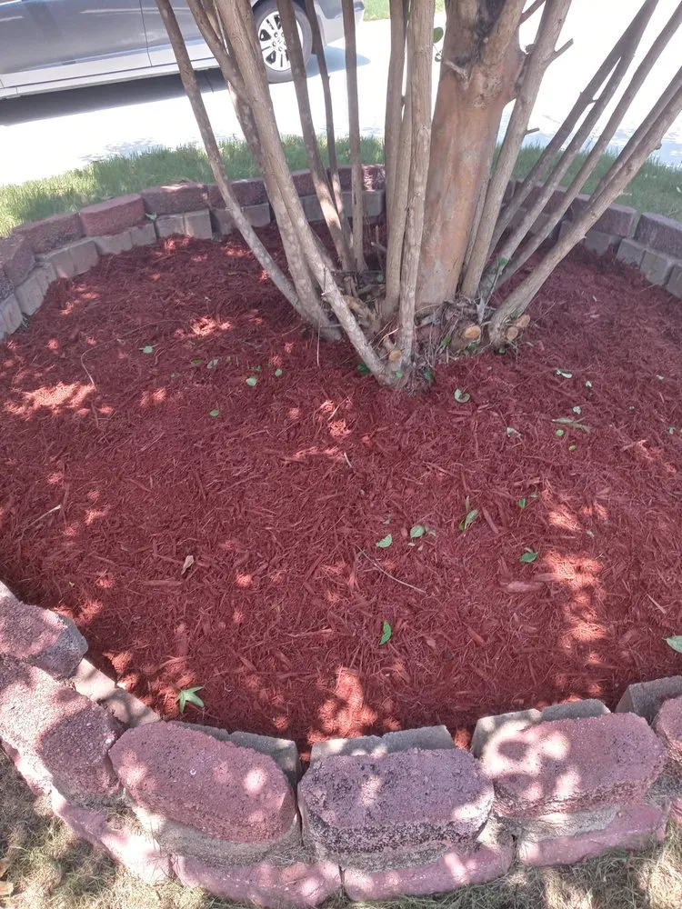 Expert landscaping services experts serving Social Circle, GA - Truking Season Lawn Care Service