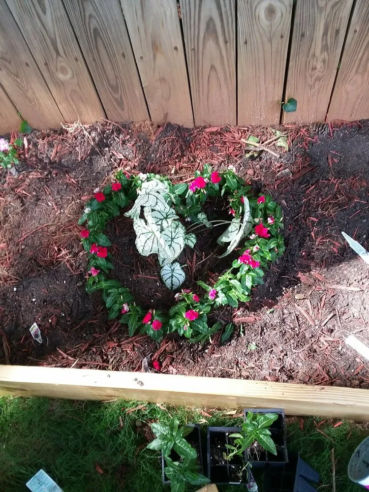 Trusted lawn care service in Social Circle, GA by Truking Season Lawn Care Service