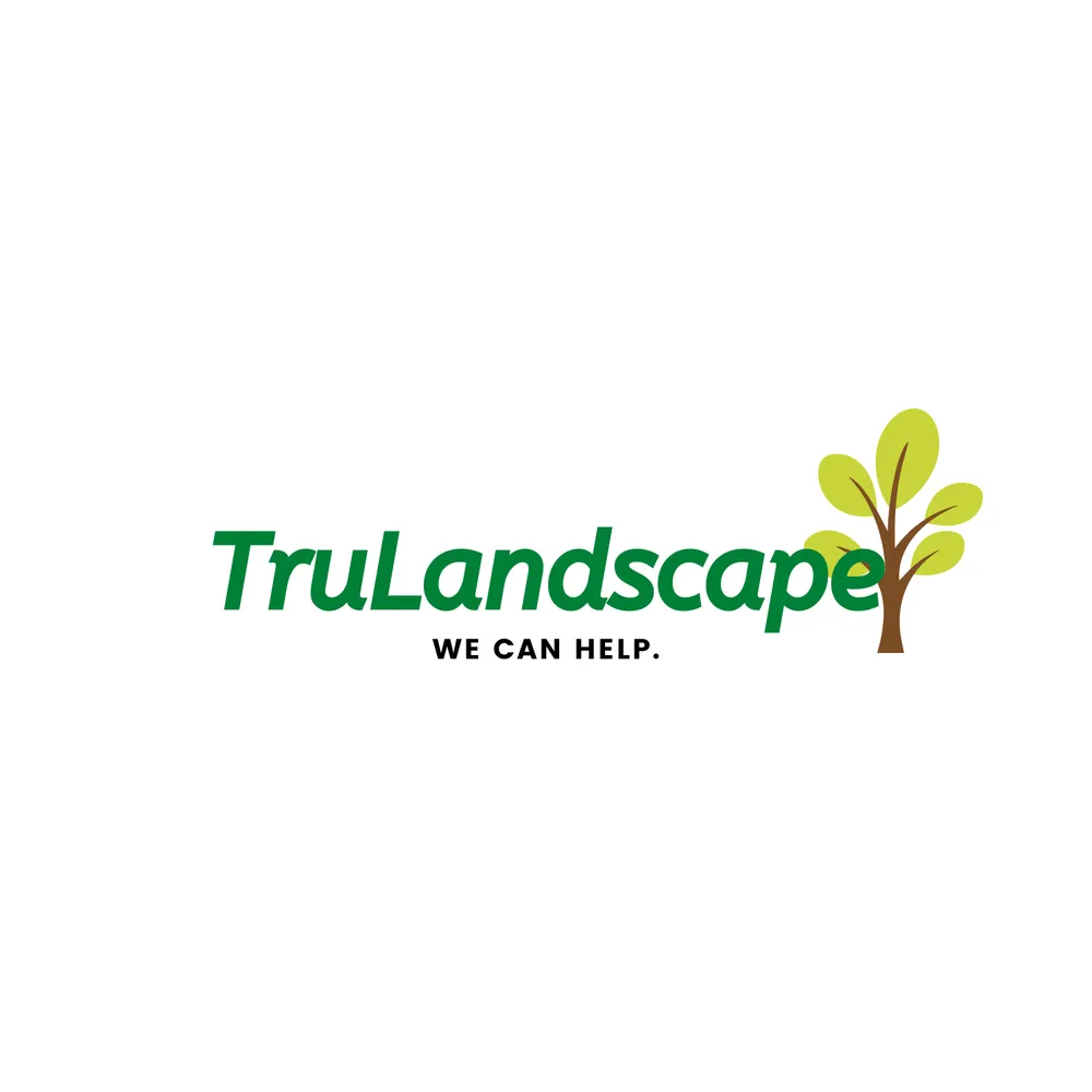 Affordable lawn care service experts serving San Diego, CA - Trulandscaping