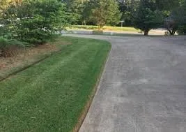 Local residential landscaping in San Diego, CA by Trulandscaping