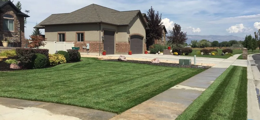 Affordable landscape installation in San Diego, CA - Trulandscaping