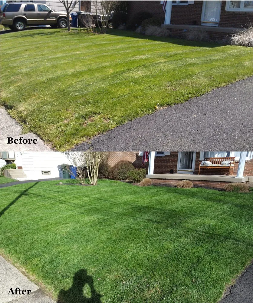 Local outdoor landscaping for outdoor upgrades across San Diego, CA - Trulandscaping