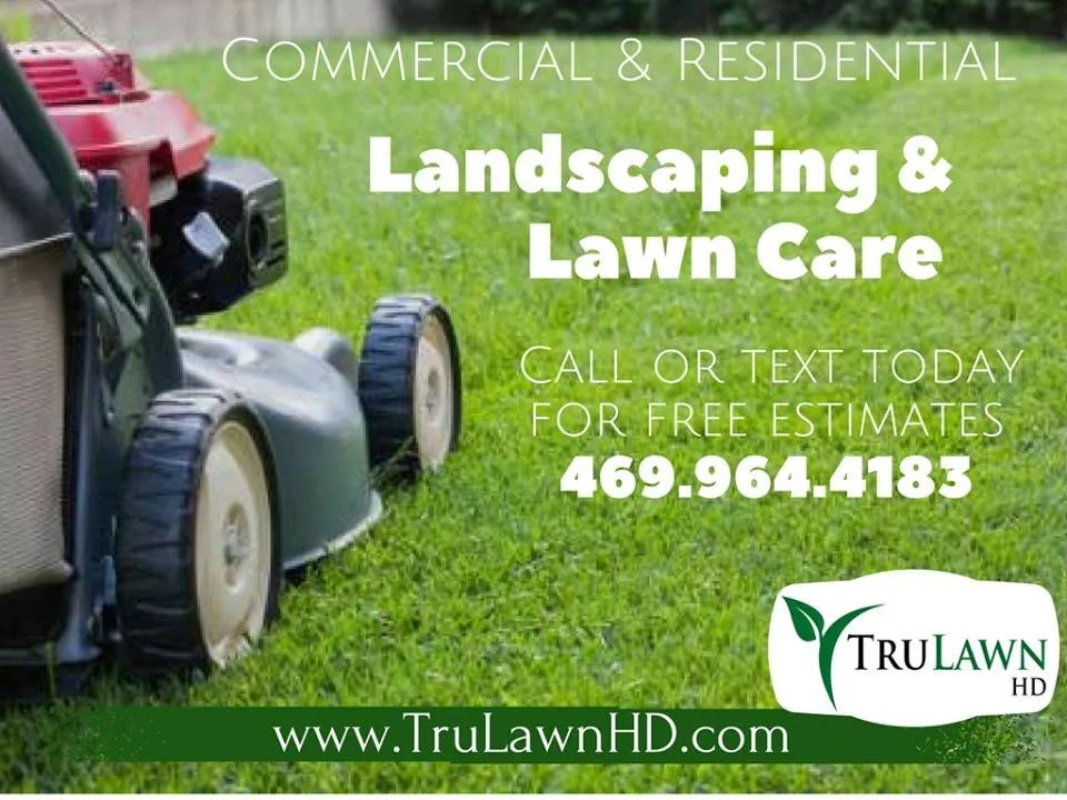 Custom yard cleanup service experts serving Princeton, TX - TruLawn HD