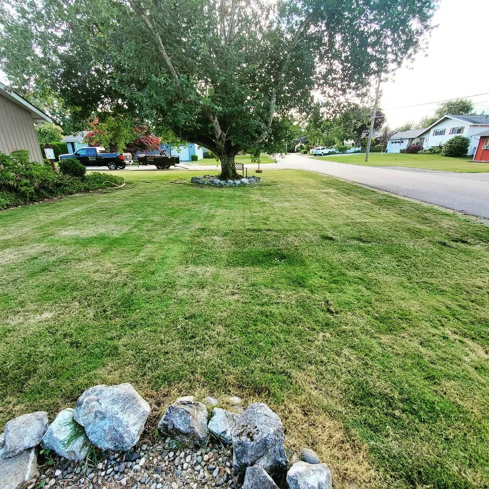 Local residential landscaping for homes across Lynden, WA - Trulawn Lawn Care Services