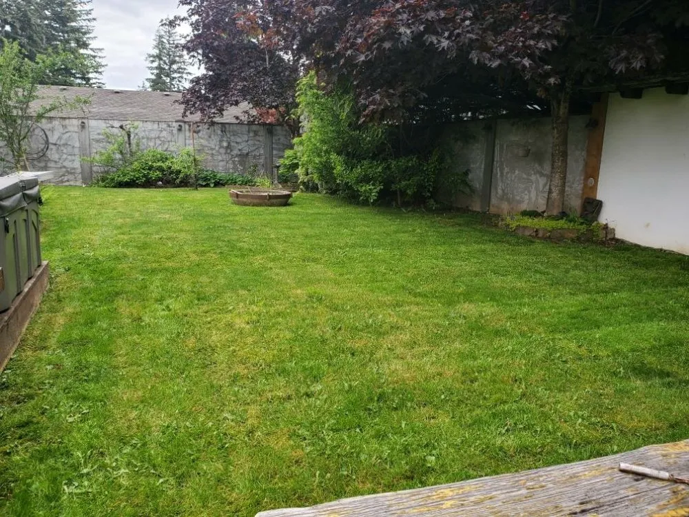 Expert landscape design for residential properties in Lynden, WA by Trulawn Lawn Care Services