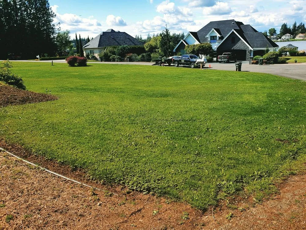 Expert landscape installation in Lynden, WA - Trulawn Lawn Care Services