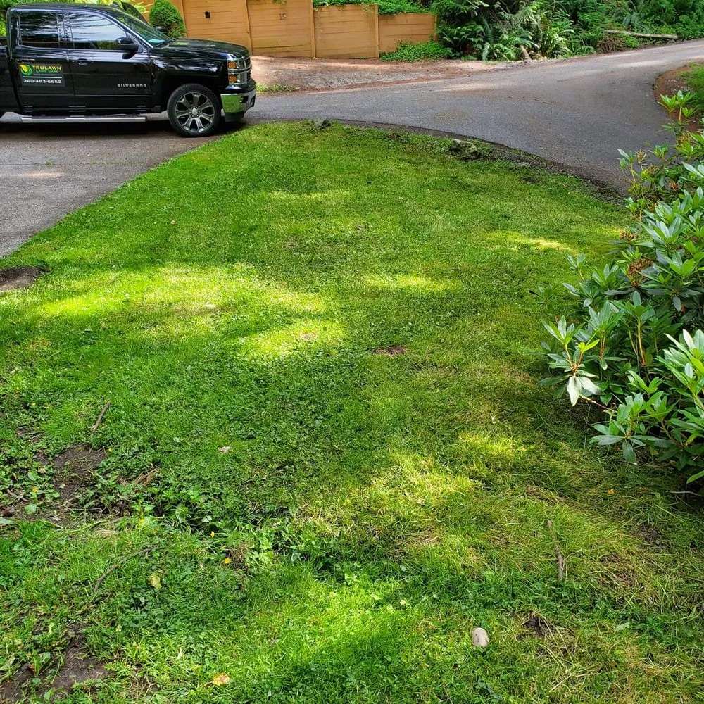 Custom landscape installation experts serving Lynden, WA - Trulawn Lawn Care Services