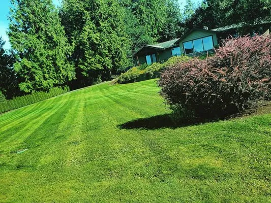 Trulawn Lawn Care Services Logo