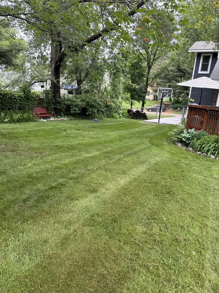 Professional yard cleanup service in Bloomington, MN by TruLeaf Landscape