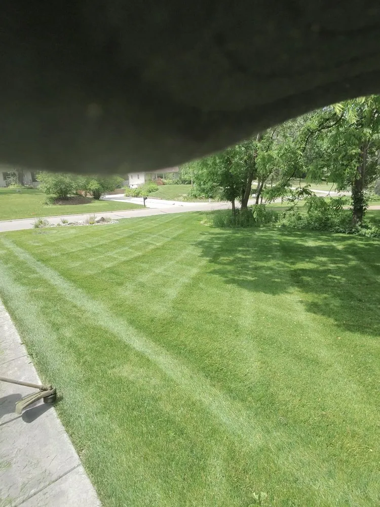 Professional garden landscaping for year-round maintenance across Bloomington, MN - TruLeaf Landscape