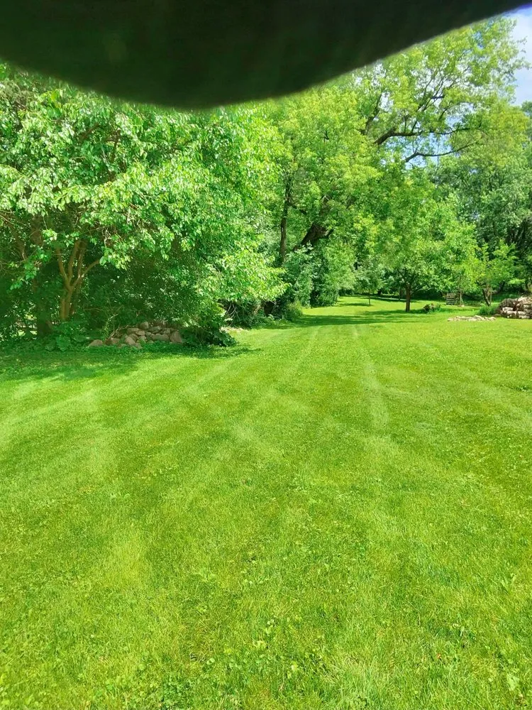 Top-rated outdoor landscaping experts serving Bloomington, MN - TruLeaf Landscape