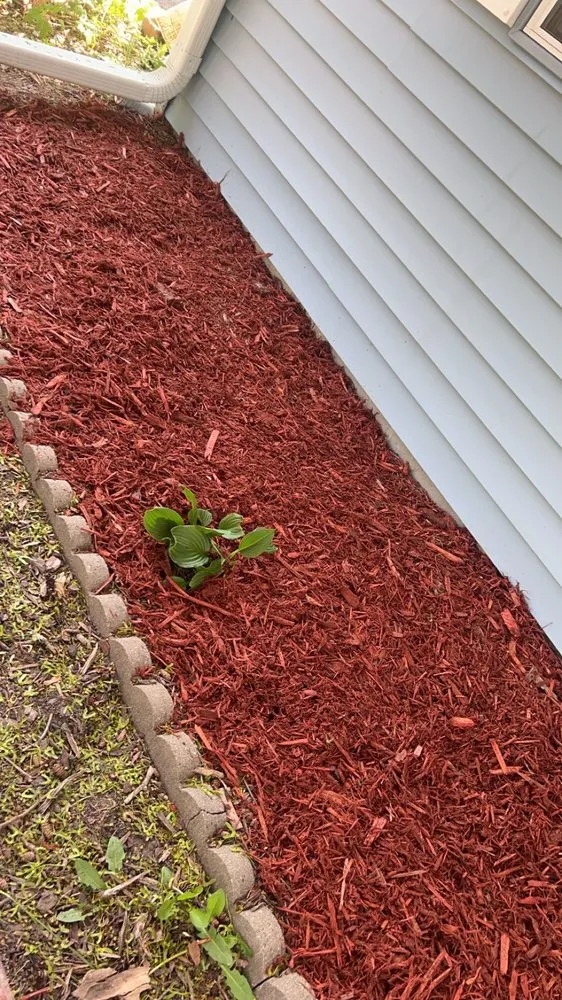 Expert landscape design in Bloomington, MN - TruLeaf Landscape