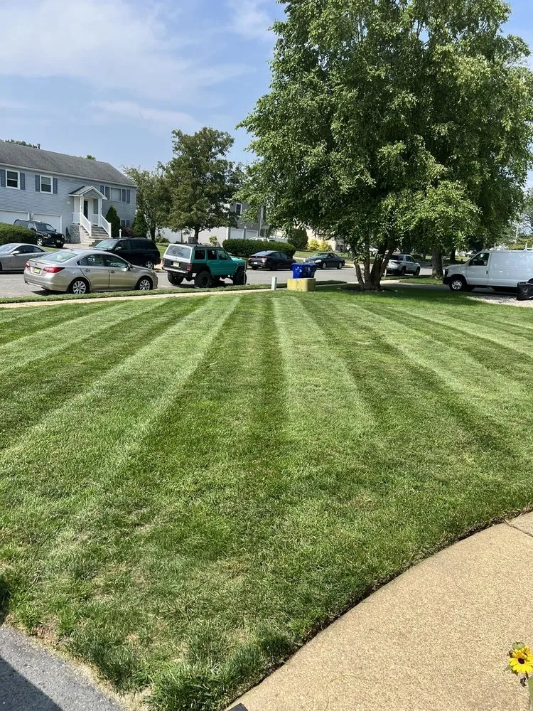 Professional yard maintenance for beautiful yards across Toms River, NJ - TruLife Landscaping