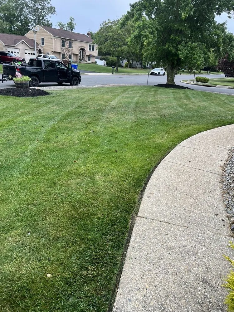 Professional yard cleanup service in Toms River, NJ - TruLife Landscaping