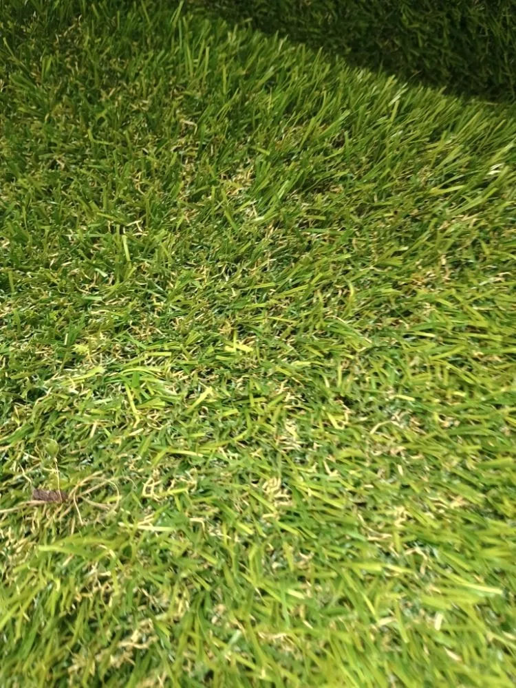 Professional yard cleanup service in St. Petersburg, FL by Truly Clean