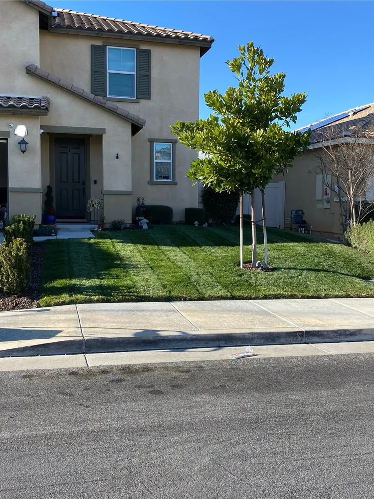Trusted outdoor landscaping in Murrieta, CA by Truly Green Lawn Care Services