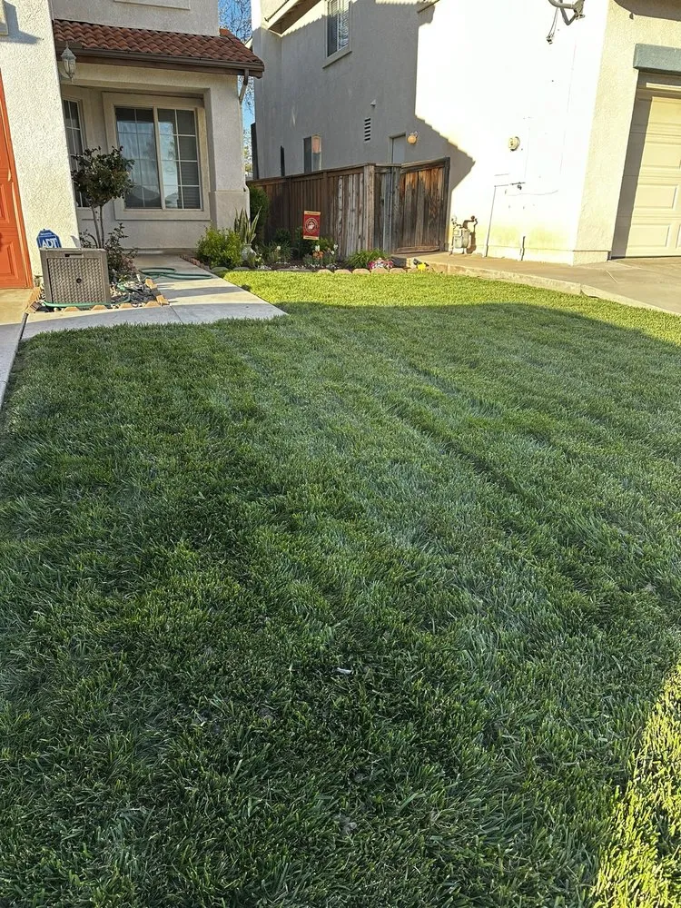 Reliable yard maintenance in Murrieta, CA - Truly Green Lawn Care Services