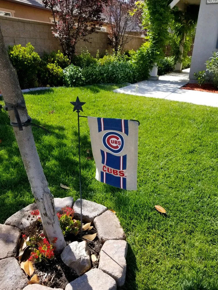 Professional yard cleanup service in Murrieta, CA - Truly Green Lawn Care Services