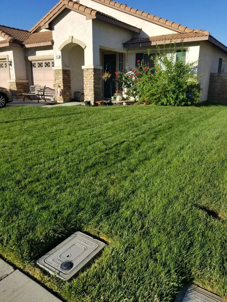 Reliable residential landscaping experts serving Murrieta, CA - Truly Green Lawn Care Services