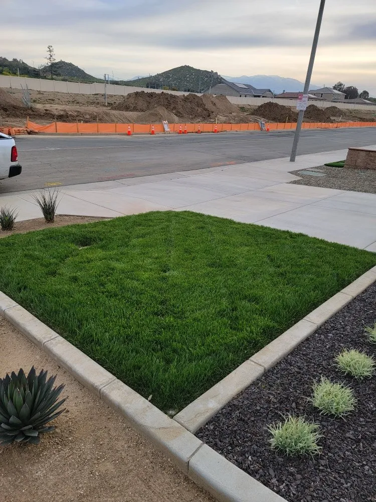 Affordable landscape design experts serving Murrieta, CA - Truly Green Lawn Care Services