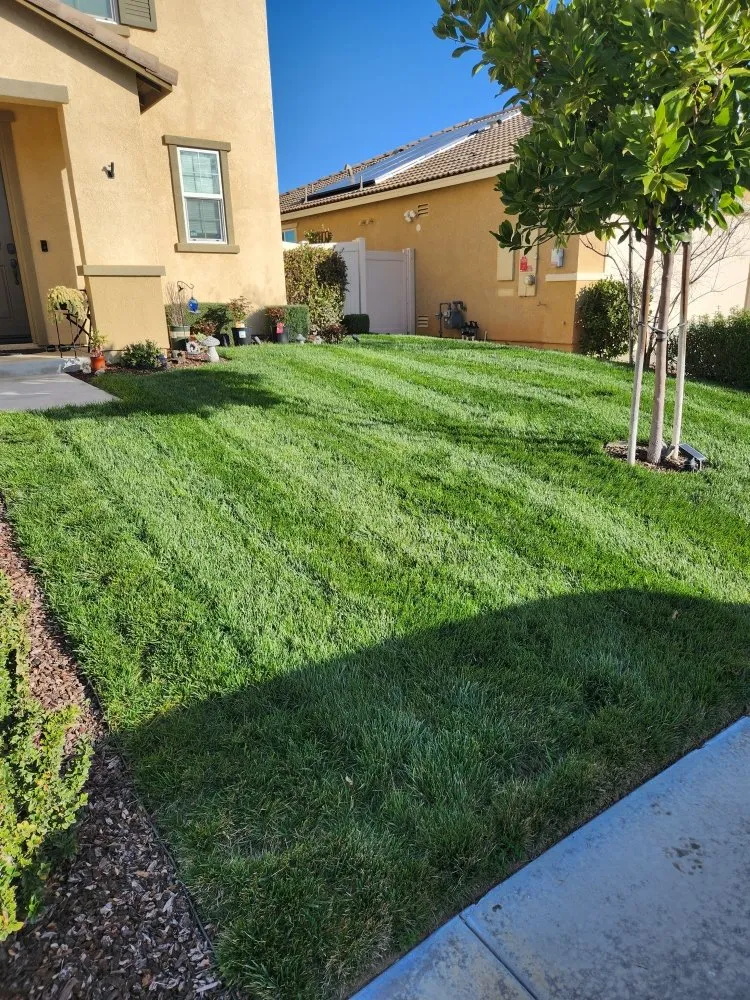 Affordable garden landscaping in Murrieta, CA - Truly Green Lawn Care Services