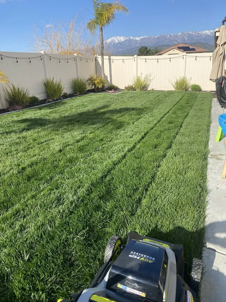 Top-rated landscape installation experts serving Murrieta, CA - Truly Green Lawn Care Services