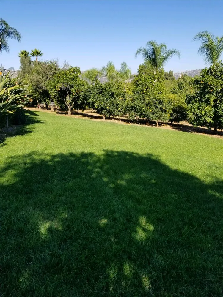 Custom landscaping services in Murrieta, CA by Truly Green Lawn Care Services