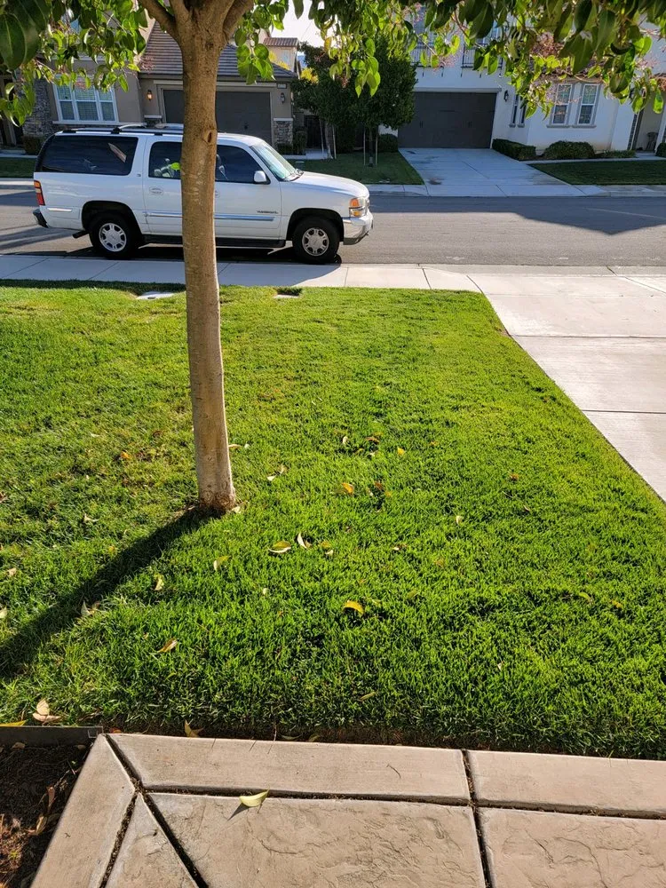 Trusted yard cleanup service for outdoor upgrades across Murrieta, CA - Truly Green Lawn Care Services