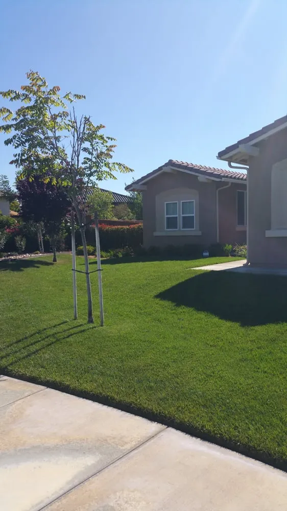 Top-rated yard maintenance in Murrieta, CA by Truly Green Lawn Care Services