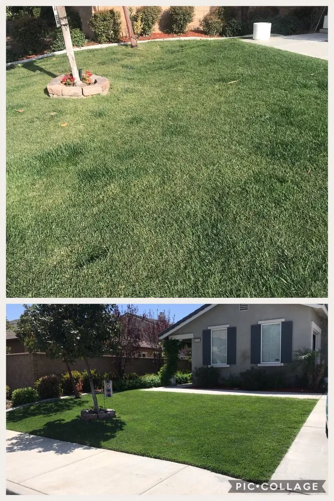 Trusted residential landscaping in Murrieta, CA - Truly Green Lawn Care Services