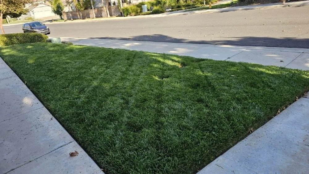 Local landscape installation in Murrieta, CA by Truly Green Lawn Care Services