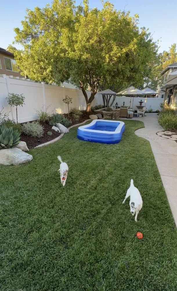 Expert landscaping services in Murrieta, CA - Truly Green Lawn Care Services